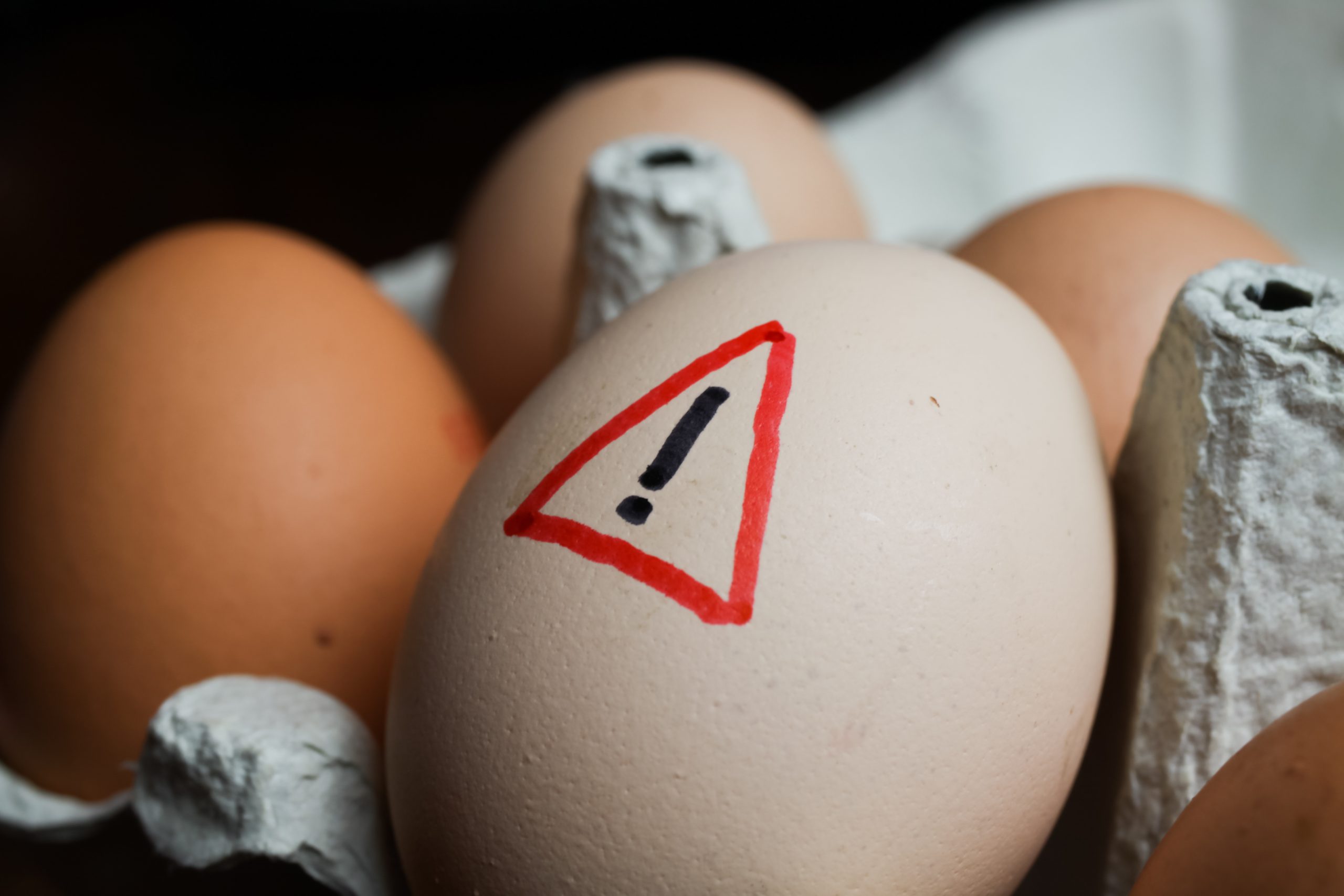 Closeup of isolated raw brown eggs in carton box with warning sign - salmonella infection risk and cholesterol consumption concept